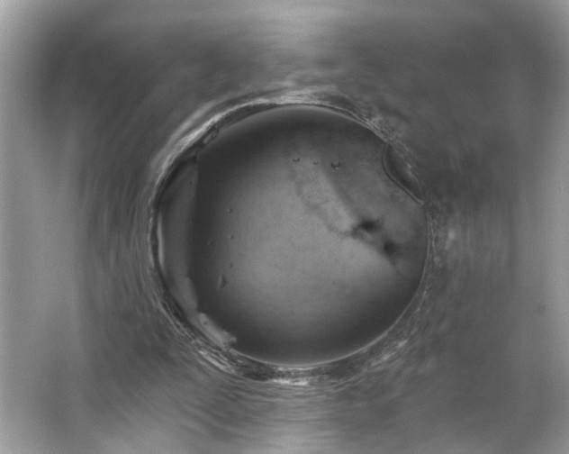 X0000063450295200601231359