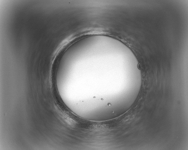 X0000063450296200601231359