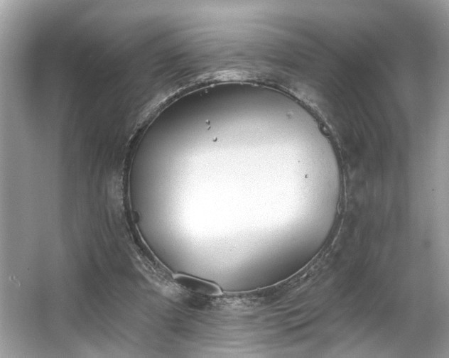 X0000063450297200601231359