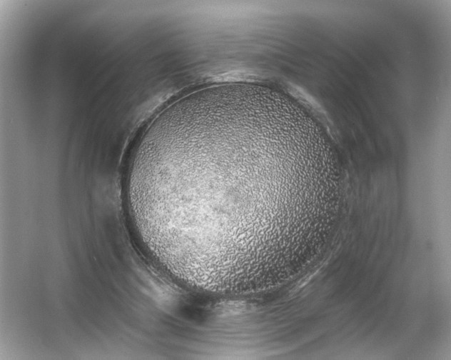 X0000063450298200601231359