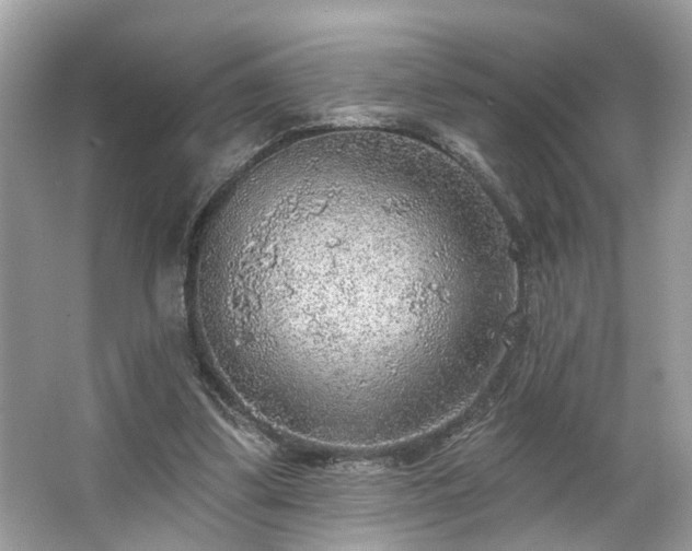 X0000063450299200601231359