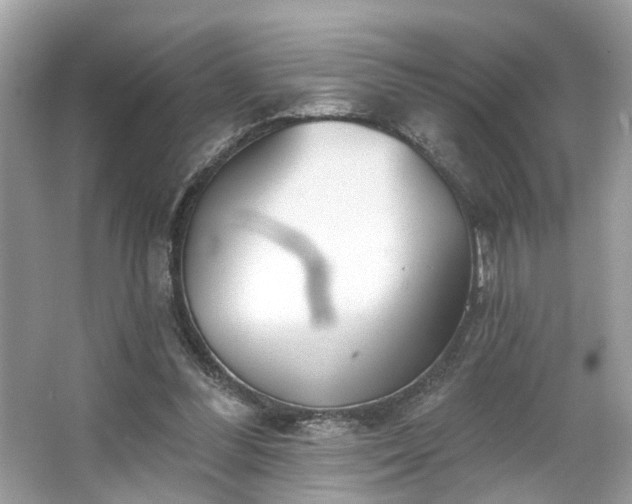 X0000063450300200601231359