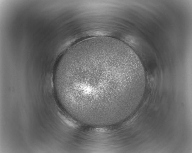 X0000063450302200601231359