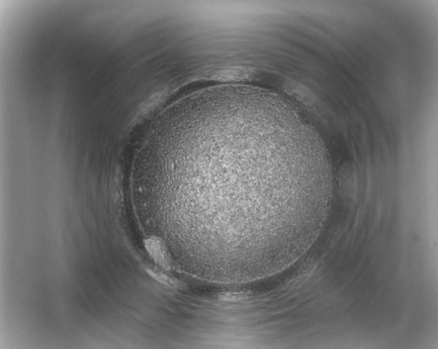 X0000063450303200601231359