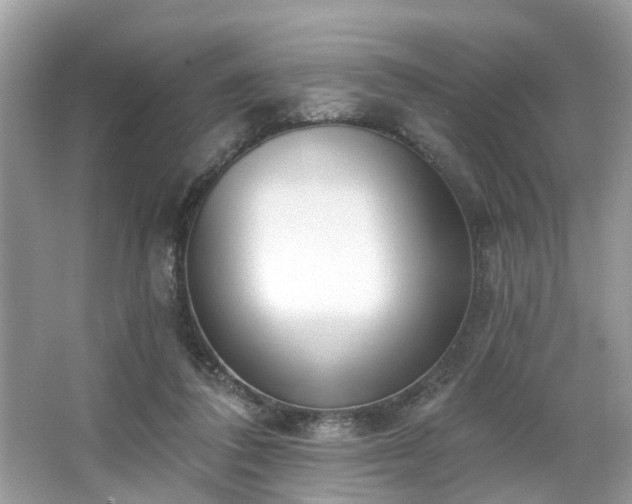 X0000063450308200601231359