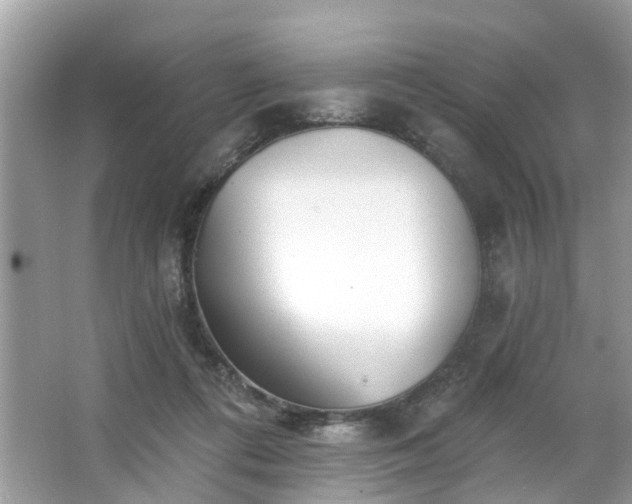 X0000063450312200601231359