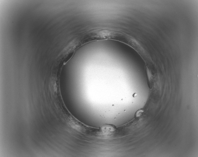 X0000063450313200601231359