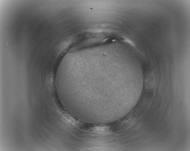 X0000063450314200601231359