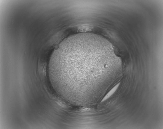 X0000063450315200601231359