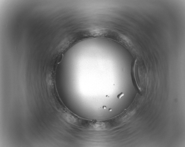 X0000063450317200601231359