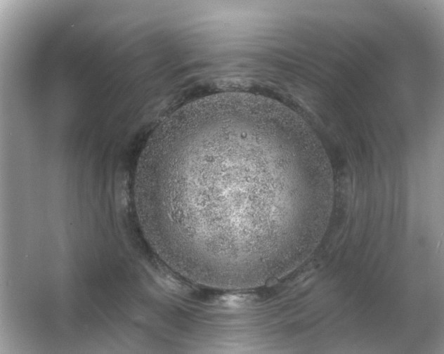 X0000063450323200601231359