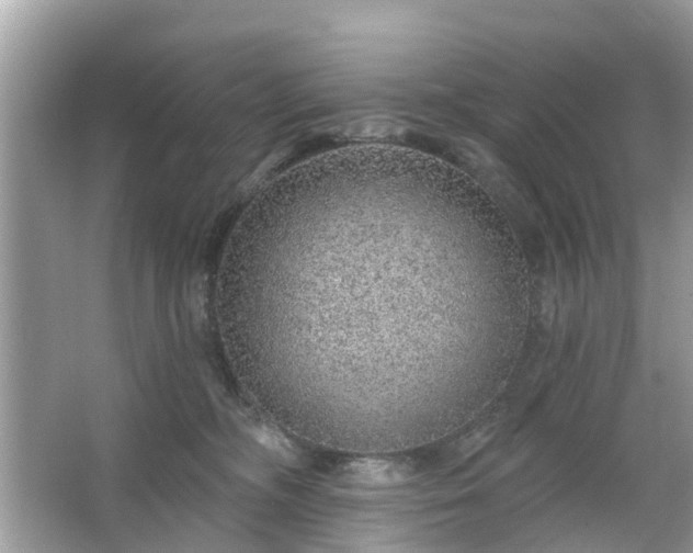 X0000063450326200601231359