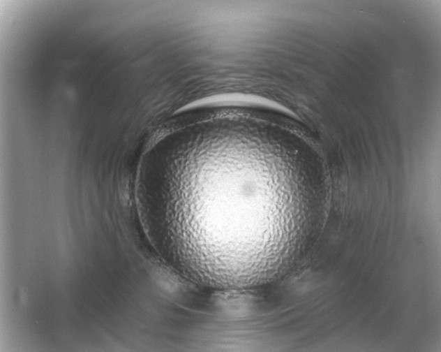 X0000063450331200601231358