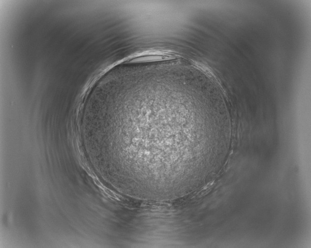 X0000063450337200601231358