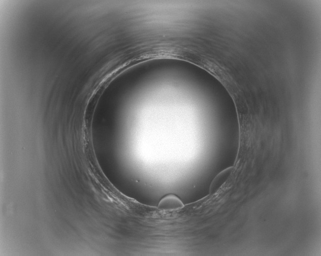 X0000063450338200601231358