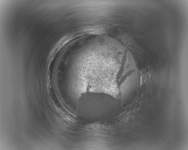 X0000063450339200601231358