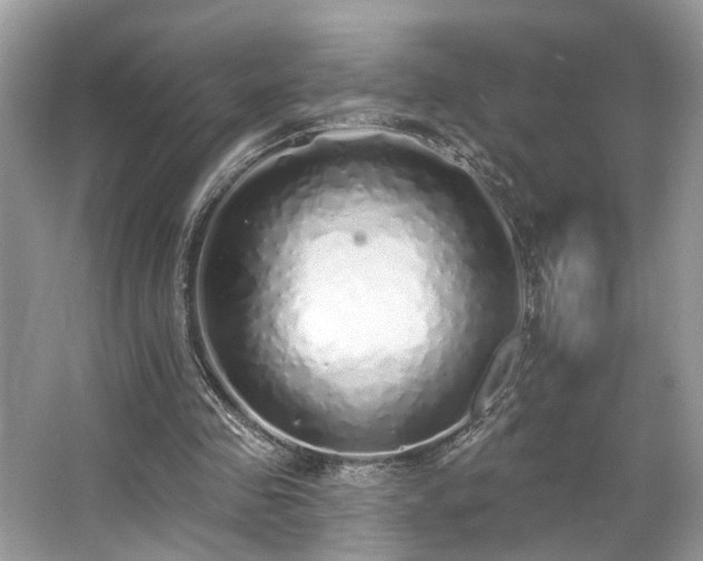 X0000063450341200601231358