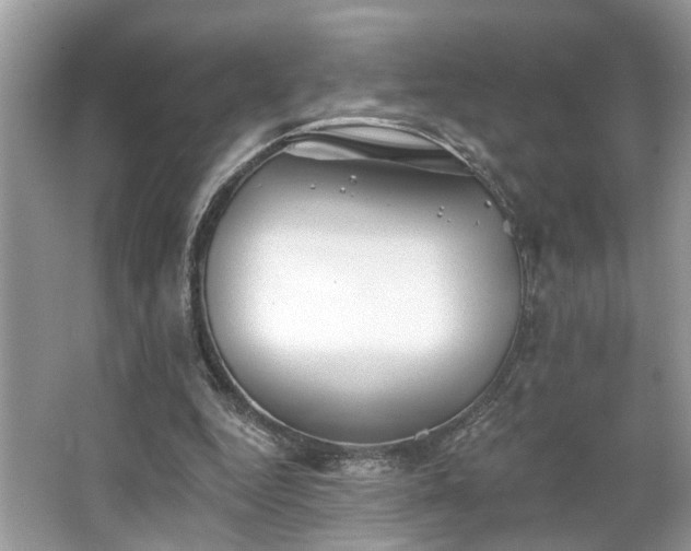 X0000063450344200601231358