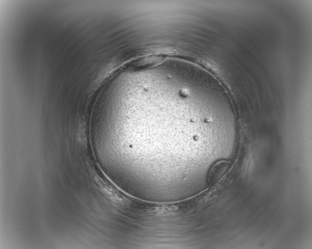 X0000063450345200601231358