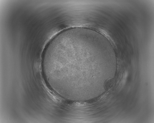 X0000063450346200601231358