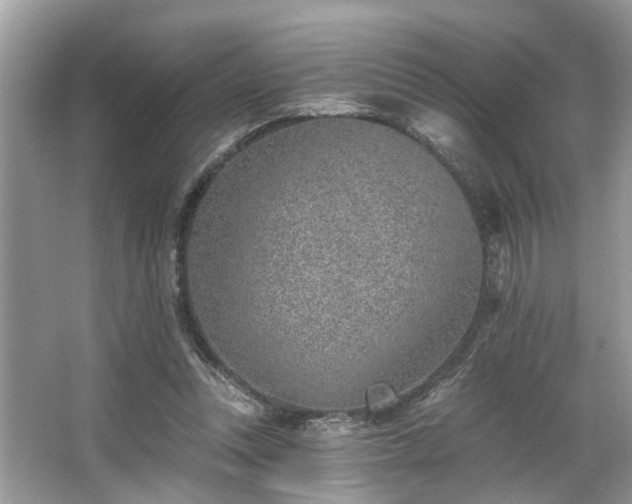 X0000063450351200601231358