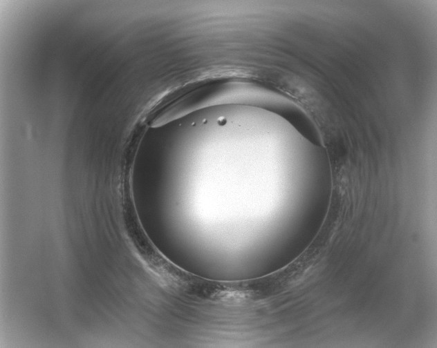 X0000063450352200601231358