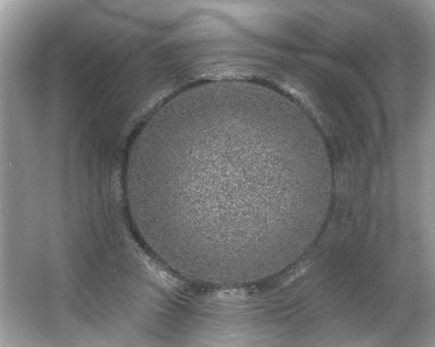 X0000063450353200601231358