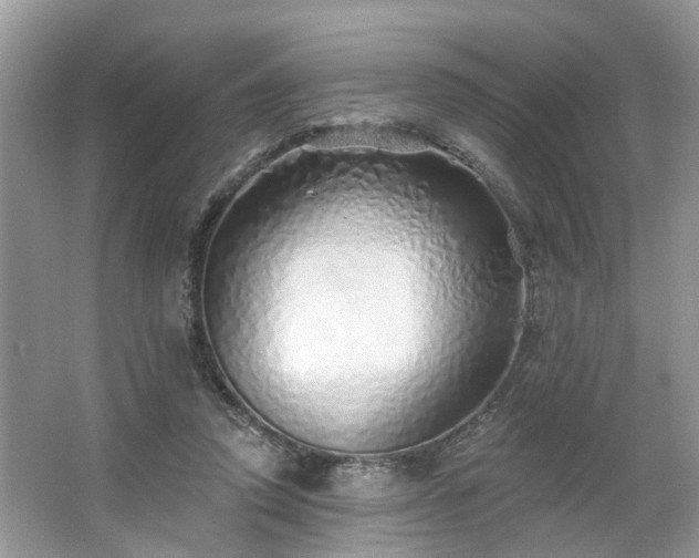 X0000063450354200601231358