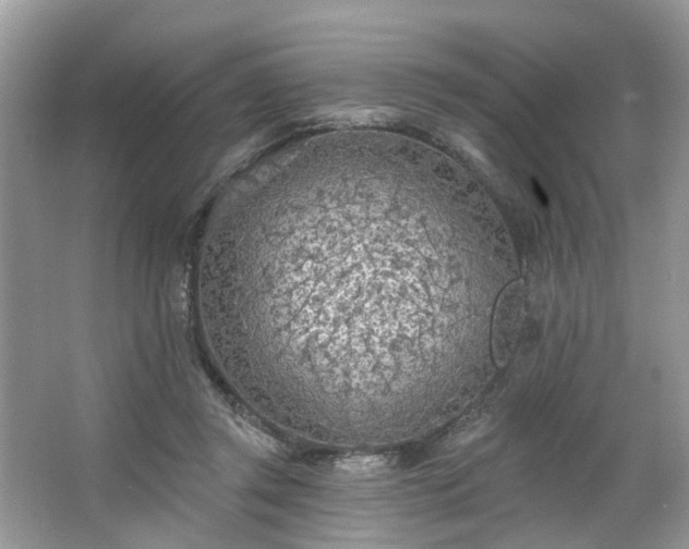 X0000063450357200601231358