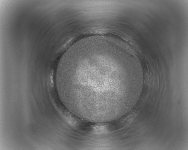 X0000063450358200601231358