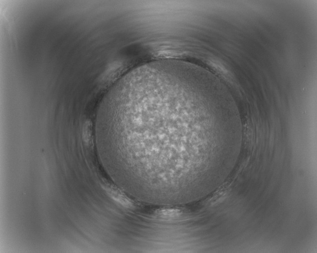 X0000063450361200601231358