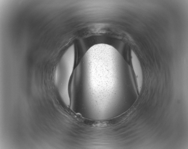 X0000063450362200601231358