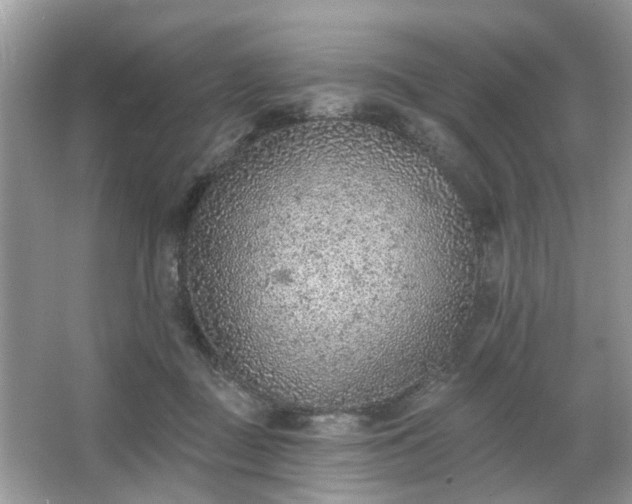 X0000063450363200601231358