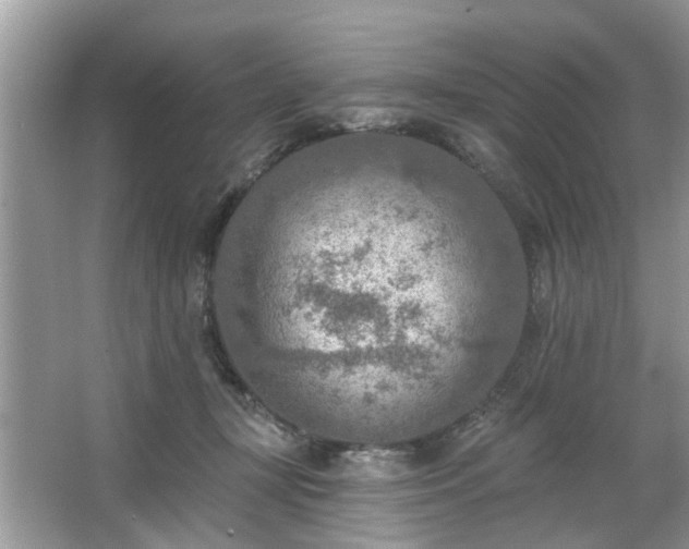 X0000063450367200601231358