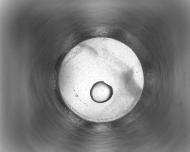 X0000063450370200601231358