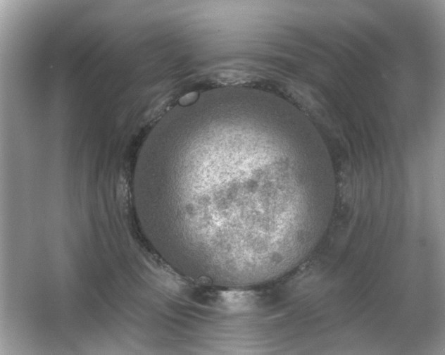 X0000063450371200601231358