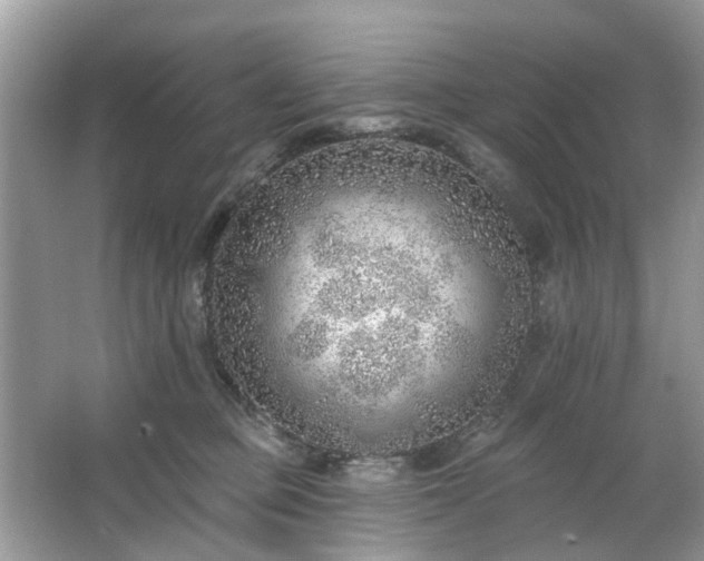 X0000063450373200601231358