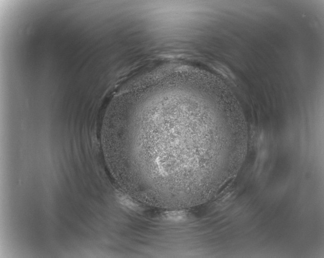 X0000063450377200601231358