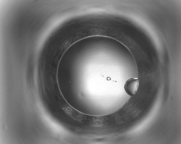 X0000063450382200601231358