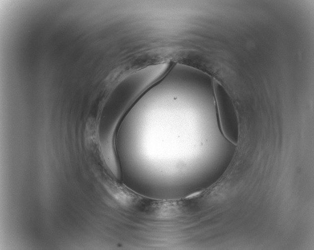 X0000063450384200601231358