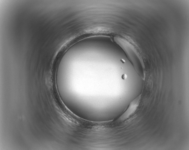 X0000063450392200601231357