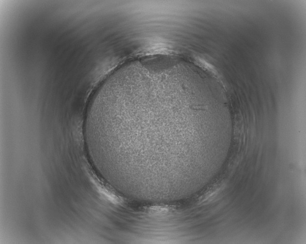 X0000063450394200601231357