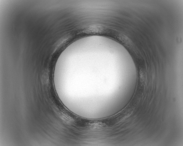 X0000063450396200601231357