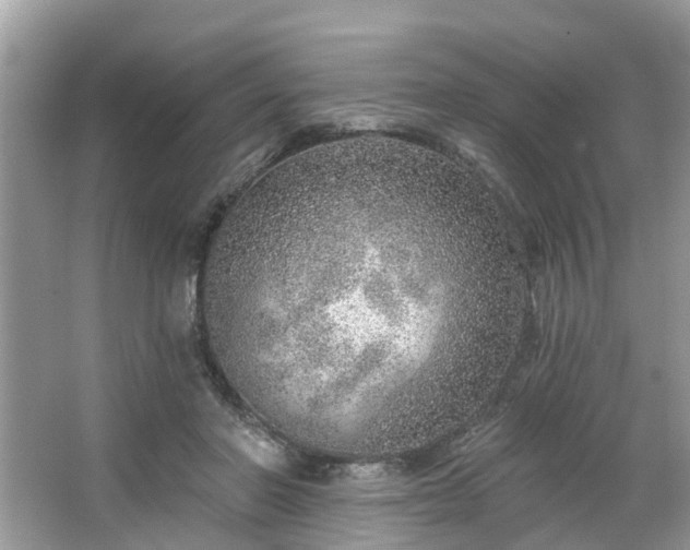 X0000063450406200601231357