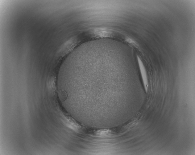 X0000063450410200601231357