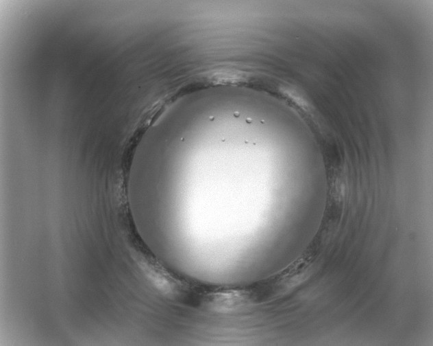 X0000063450411200601231357