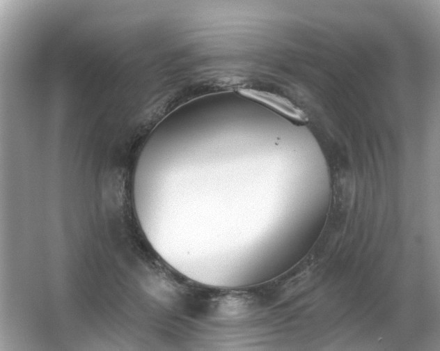 X0000063450412200601231357