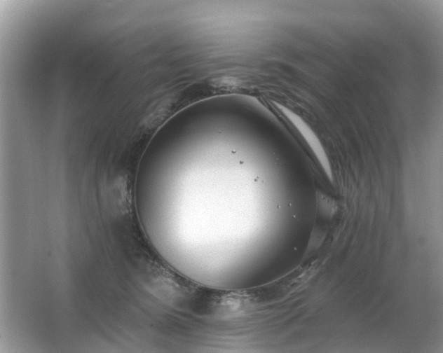 X0000063450420200601231357