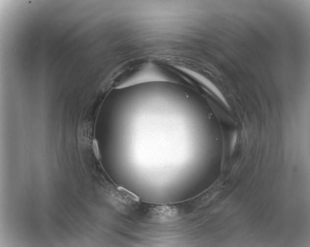 X0000063450421200601231357