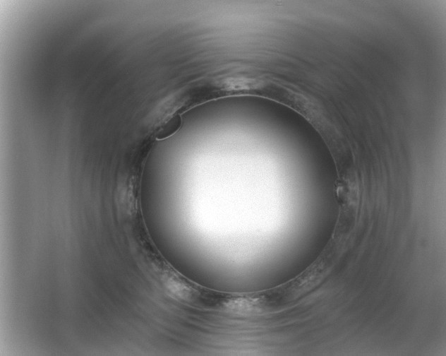 X0000063450422200601231357